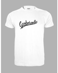 Cambrian  Miller T-Shirt